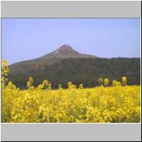 From just South of Newton-under-Roseberry