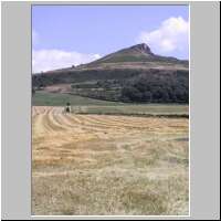 Harvest time at Roseberry Topping (which is still closed - 30th July)